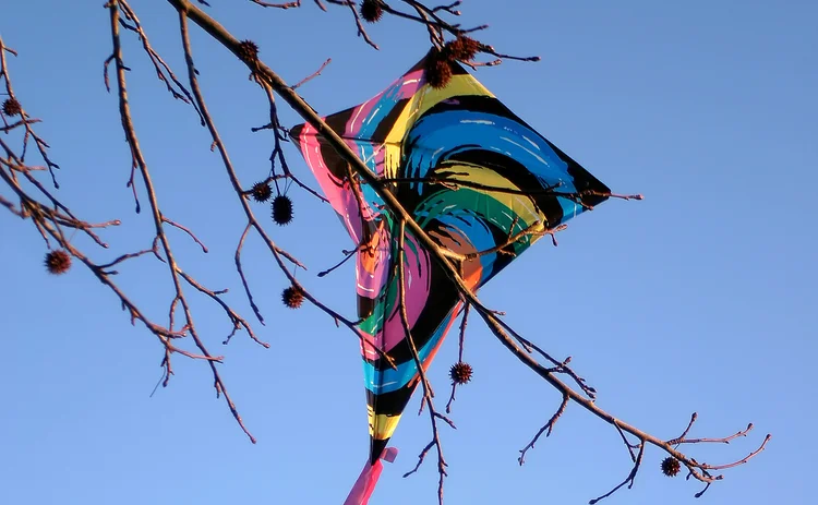 kite-in-tree_Getty.jpg 