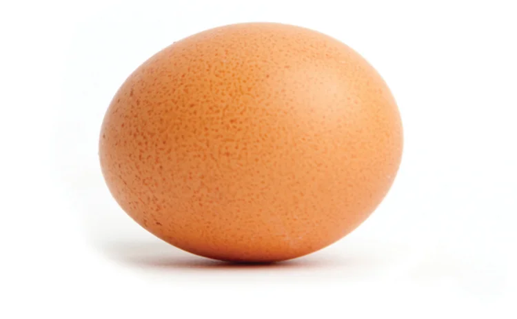 single-egg