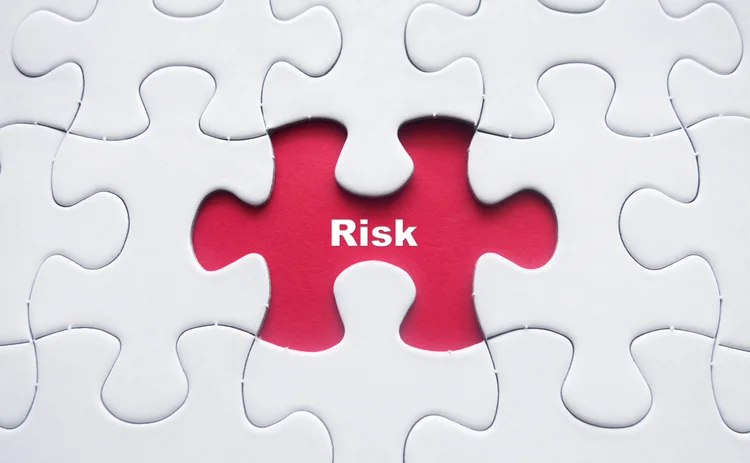 risk-jigsaw