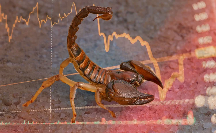scorpion equity markets