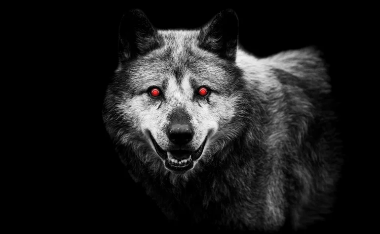 wolf with AI eyes