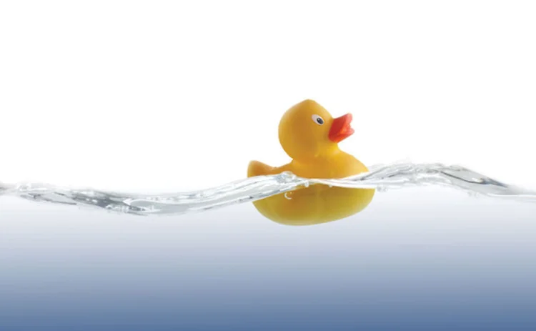 leader-duck