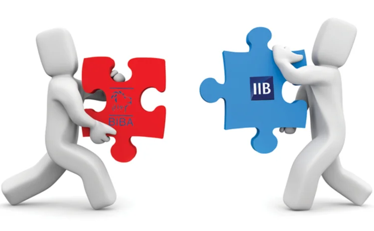 biba-iib-merger-jigsaw