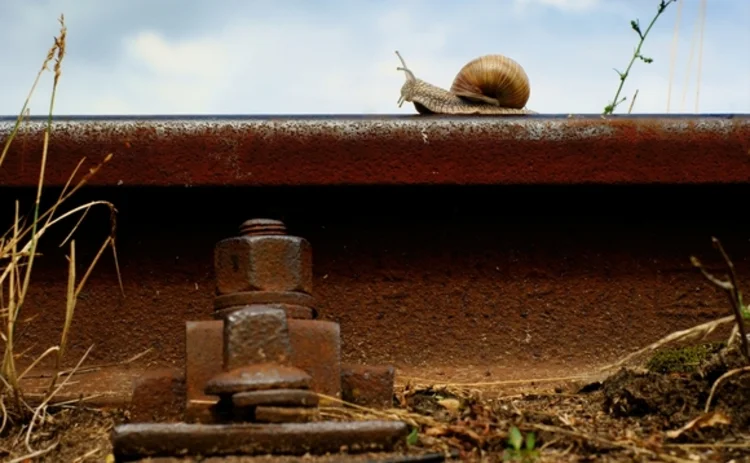 snail-on-train-track