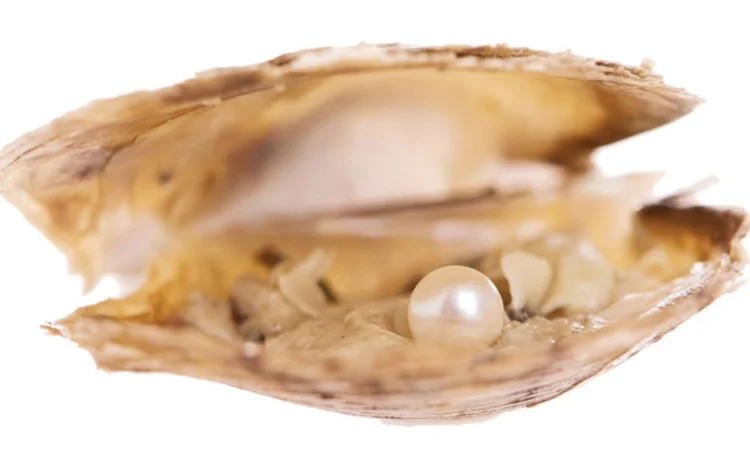 emerging-oyster